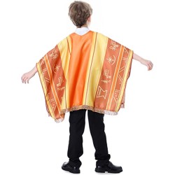 Encanto disfraz Ruana de Camilo