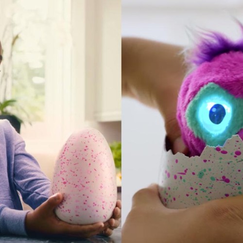 Hatchimals: Huevo misterioso