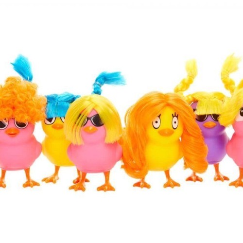 ¡POLLITOS CON PELUCAS!