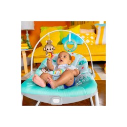 Bright Starts Silla y hamaca para bebés Wild Vibes