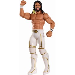 WWE figura Seth Rollins FCH30