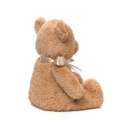 Teddy bear mi primer oso peluche