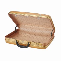 WWE maletín Money in The bank