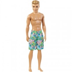 Barbie Ken playa DGT83 Barbie Ken playa DGT83
