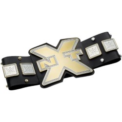 WWE cinturón campeonato NXT DYF74