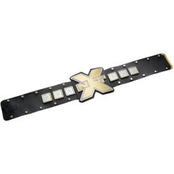WWE cinturón campeonato NXT DYF74