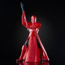 Star Wars elite praetorian guard