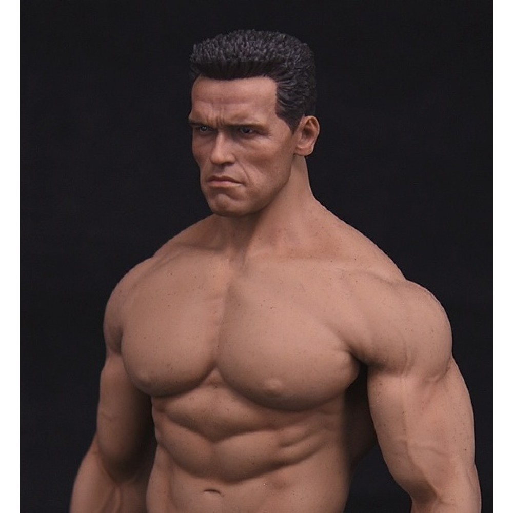 Arnold Schwarzenegger figura muscular Phicen