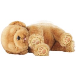 Little Live Pets Sleepy Puppy