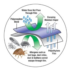 Forro protector colchón antiácaros antialergias