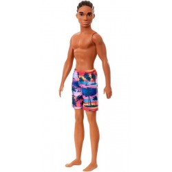 Barbie Ken Playa Moreno GHW44 Barbie Ken Playa Moreno GHW44
