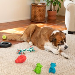 Juguete morder perros Vibrant Life Juguete morder perros Vibrant Life