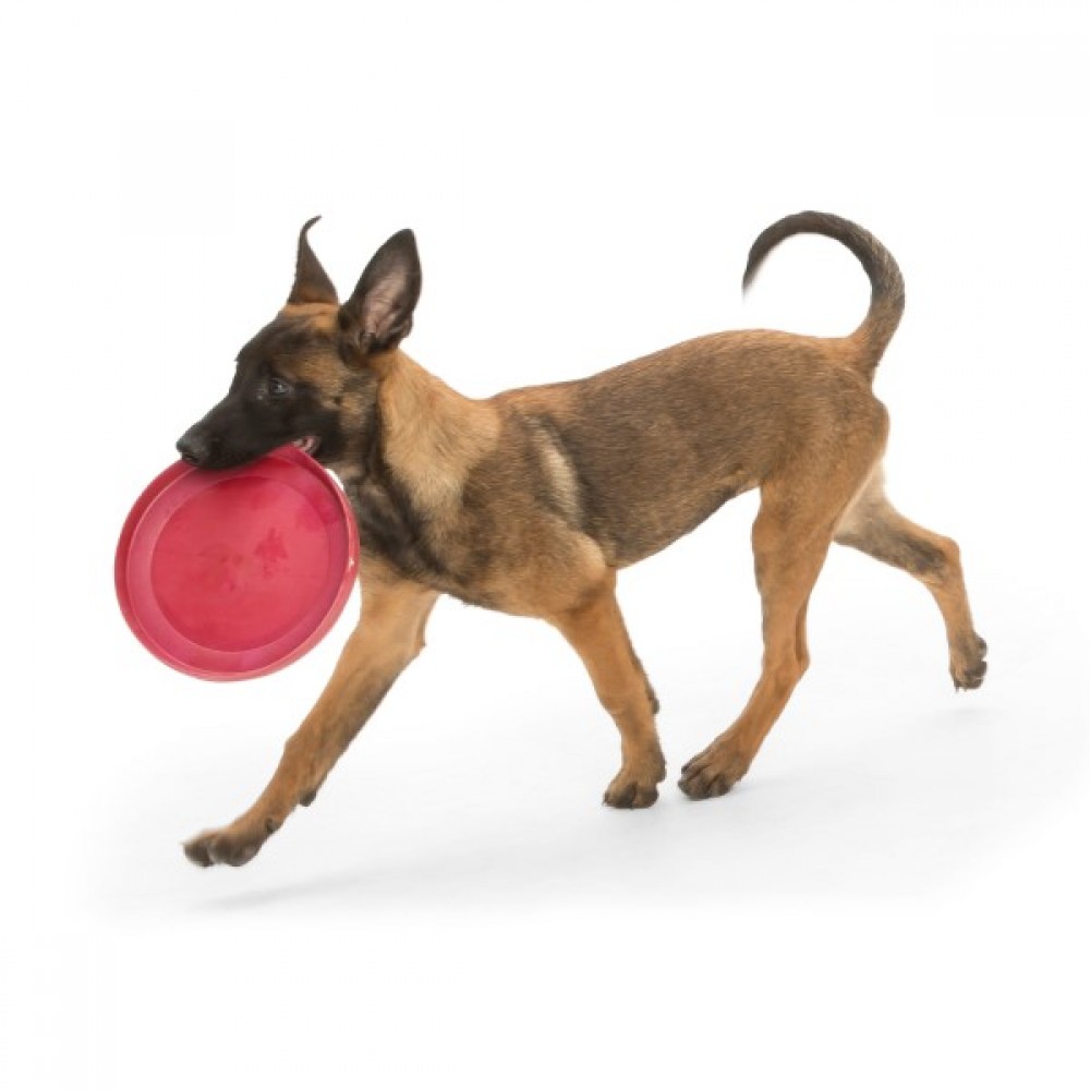 West Paw Frisbee juguete perrro West Paw Frisbee juguete perrro