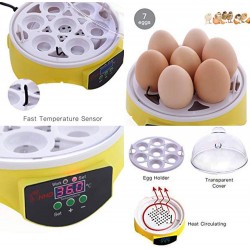 Incubadora inteligente 7 huevos Incubadora inteligente 7 huevos
