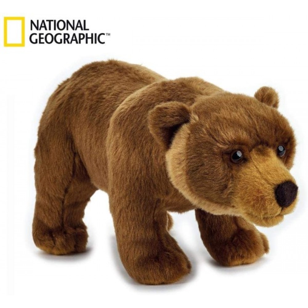 National Geographic Oso de peluche