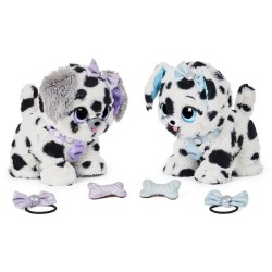 Present Pets mascota con manchas
