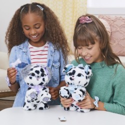 Present Pets mascota con manchas