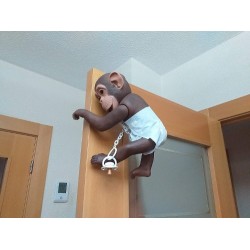 Muñeca bebé reborn Baby Chimp