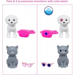 Barbie Color Reveal De Carnaval al Concierto Barbie Color Reveal De Carnaval al Concierto