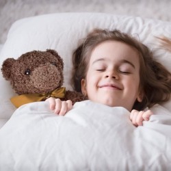 Oso de peluche clásico para regalar - Marrón