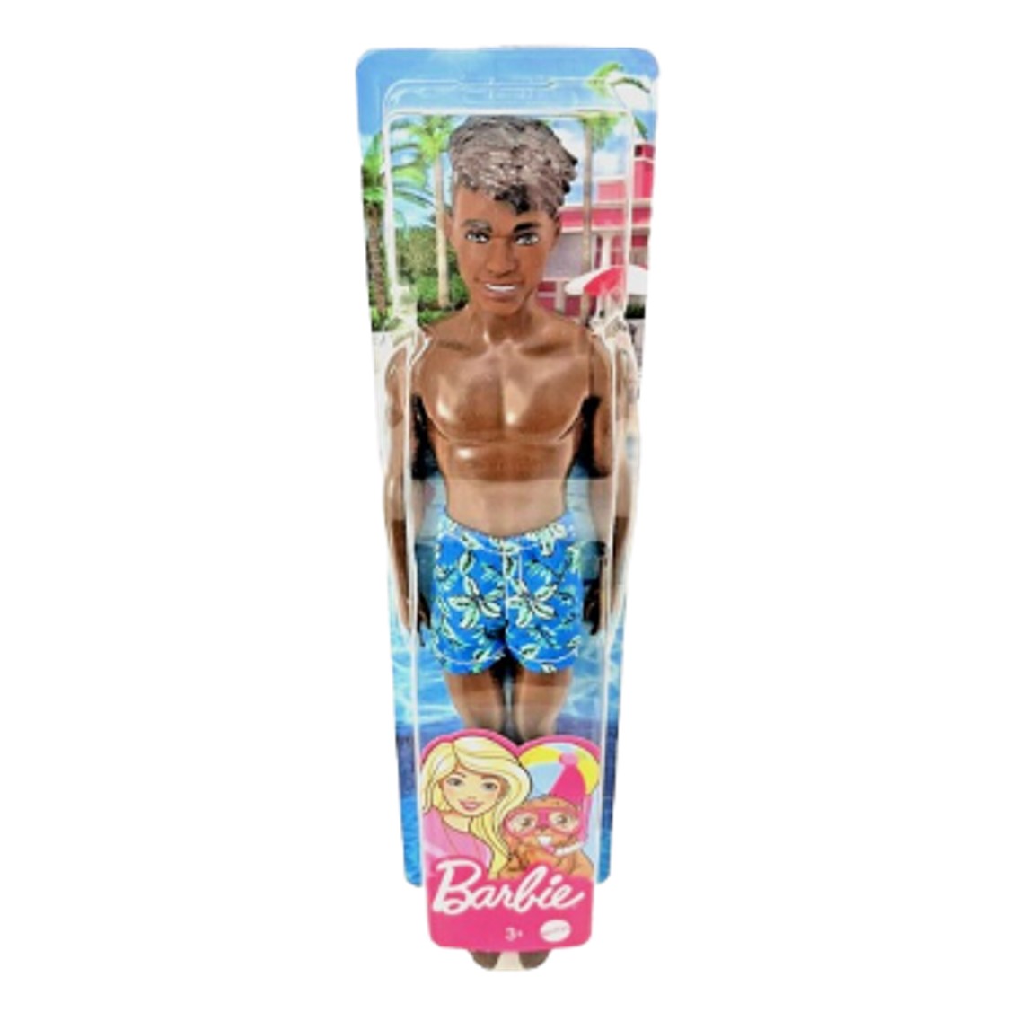 Barbie Ken Playa Moreno HBV03 - vista alternativa