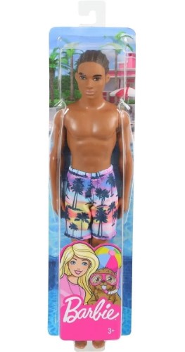 Barbie Ken Playa Moreno GHW44 - vista alternativa
