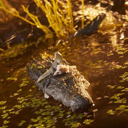 GI Joe Classified Series Croc Master & Fiona - imagen adicional
