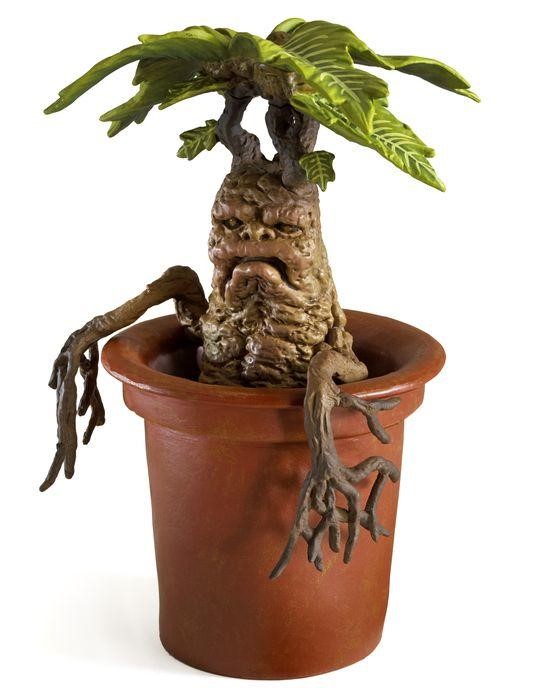 Harry Potter Magical Creatures No. 17 Mandrake