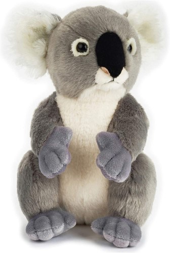Peluche de Koala National Geographic