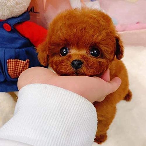 Peluche perrito realista - marrón - vista alternativa