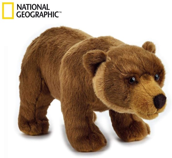 National Geographic Oso de peluche